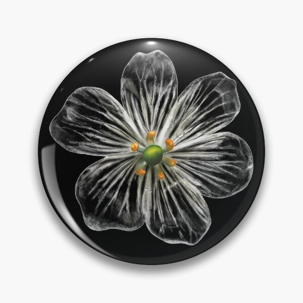 Item preview, Skeleton Flower (Diphylleia grayi) designed and sold by PNWBeePhotos.