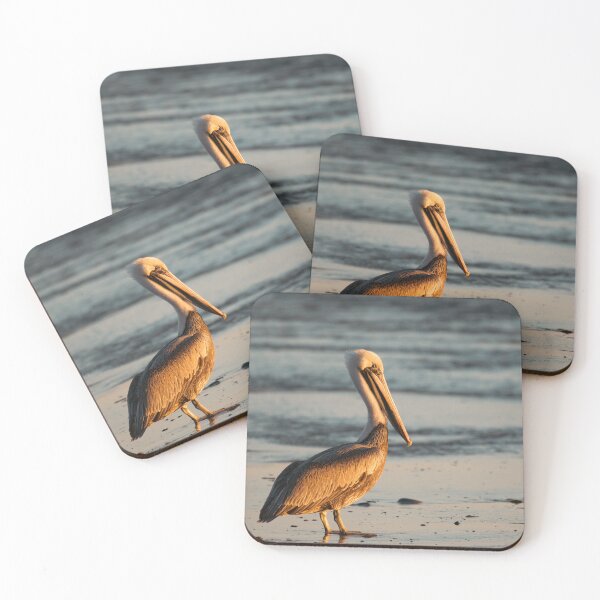 Item preview, Golden Hour Brown Pelican Santa Barbara Beach Photography designed and sold by Elwynn WildLight Photography.