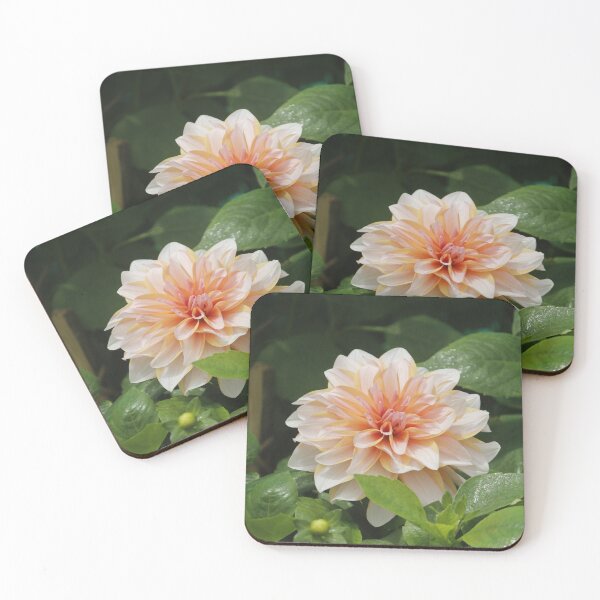 Item preview, The Dhalia. The vibrant colours which gives pleasantness  designed and sold by Opera of Life..