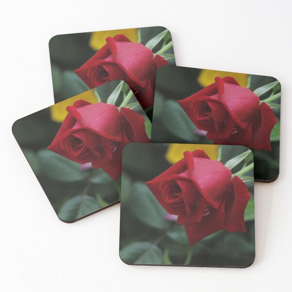 Item preview, The Rose which is beyond Expressions and yet gives the most beautiful expression on our face. designed and sold by Opera of Life..