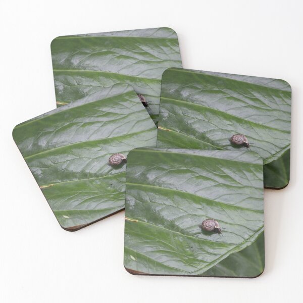 Item preview, The Snail and Green leaf. A Natures masterpiece. designed and sold by Opera of Life..