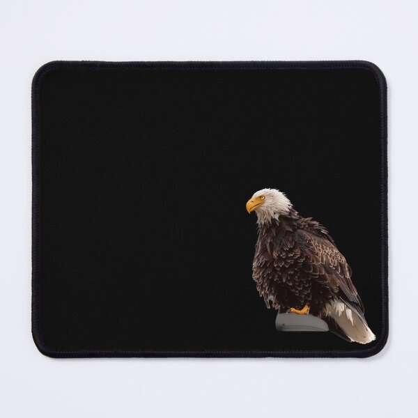 Item preview, Bald Eagle Intense Gaze False Pass Alaska Wildlife Photography designed and sold by Elwynn WildLight Photography.