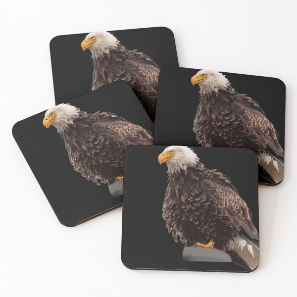 Item preview, Bald Eagle Intense Gaze False Pass Alaska Wildlife Photography designed and sold by Elwynn WildLight Photography.