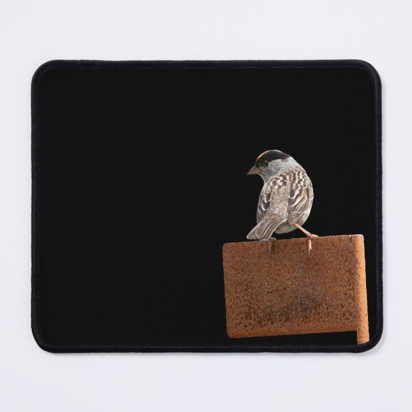 Item preview, White-crowned Sparrow on Rustic Perch Bird Photography designed and sold by Elwynn WildLight Photography.