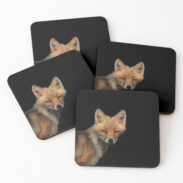 Item preview, Curious Red Fox Portrait Ethical Wildlife Photography designed and sold by Elwynn WildLight Photography.