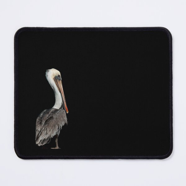 Item preview, Brown Pelican Profile Portrait Santa Barbara Bird Photography designed and sold by Elwynn WildLight Photography.
