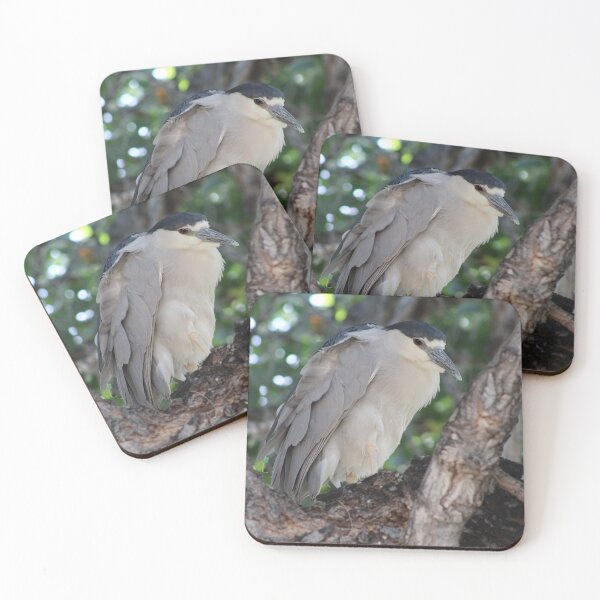 Item preview, Black-Crowned Night Heron designed and sold by Kaybytes.