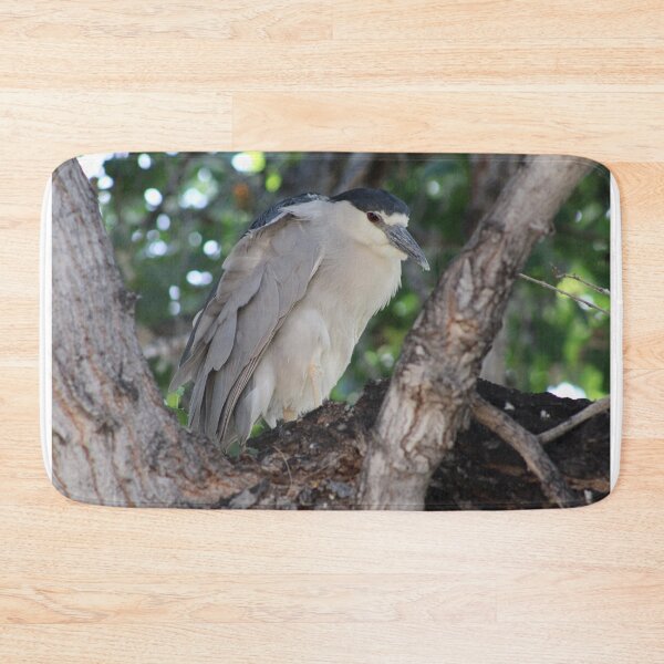 Item preview, Black-Crowned Night Heron designed and sold by Kaybytes.