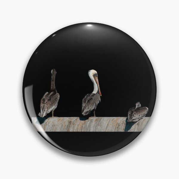 Item preview, Pelican Trio Surveying Coastline Bird Photography designed and sold by Elwynn WildLight Photography.