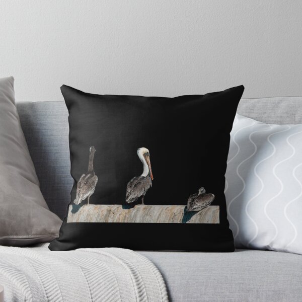 Item preview, Pelican Trio Surveying Coastline Bird Photography designed and sold by Elwynn WildLight Photography.