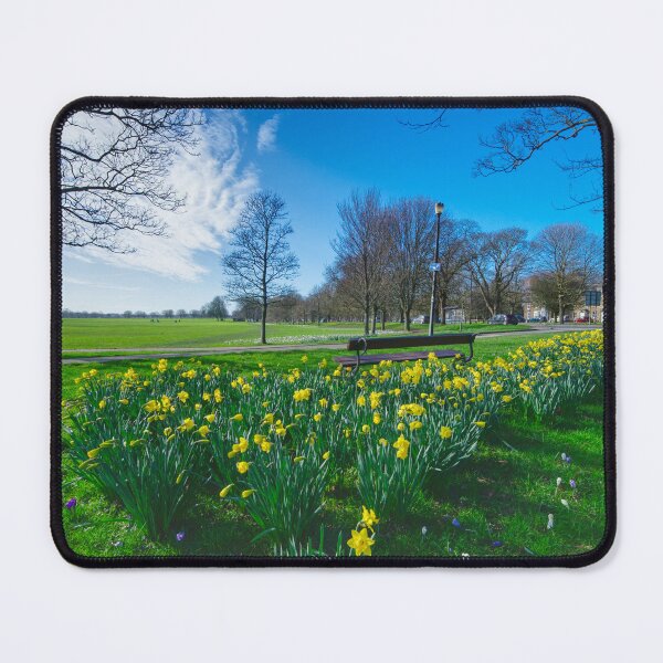 Item preview, The Stray Harrogate  designed and sold by Alisonchambers2.