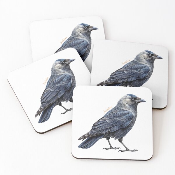 Item preview, Jackdaw bird, Garden Bird designed and sold by iclipart.