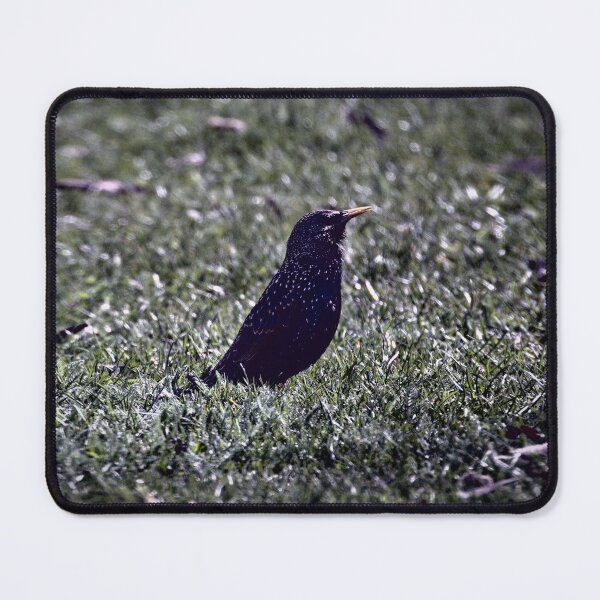 Item preview, Frozen reality - Beautiful nature 629 designed and sold by deep-sea-birds.