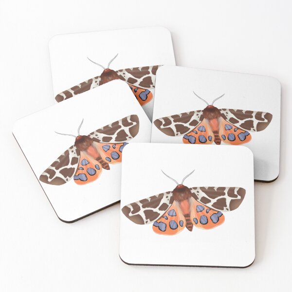 Item preview, Colorful moth with unique markings resting on a surface in a bright setting during daylight hours designed and sold by Ms. Iryna.