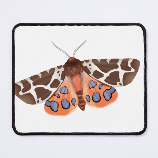 Item preview, Colorful moth with unique markings resting on a surface in a bright setting during daylight hours designed and sold by Ms. Iryna.