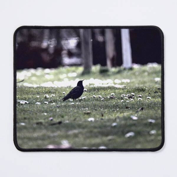 Item preview, Frozen reality - Beautiful nature 632 designed and sold by deep-sea-birds.