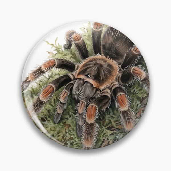 Item preview, Mexican Red Knee Tarantula designed and sold by RubisLeaf.