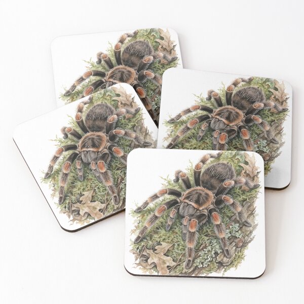 Item preview, Mexican Red Knee Tarantula designed and sold by RubisLeaf.