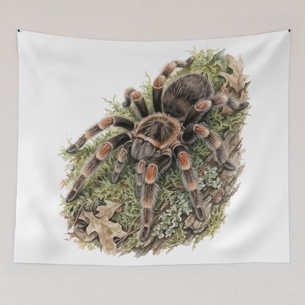 Item preview, Mexican Red Knee Tarantula designed and sold by RubisLeaf.