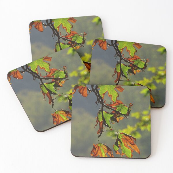 Item preview, Autumn Leaves in Sunlight – Warm Nature Close Up designed and sold by onubi.