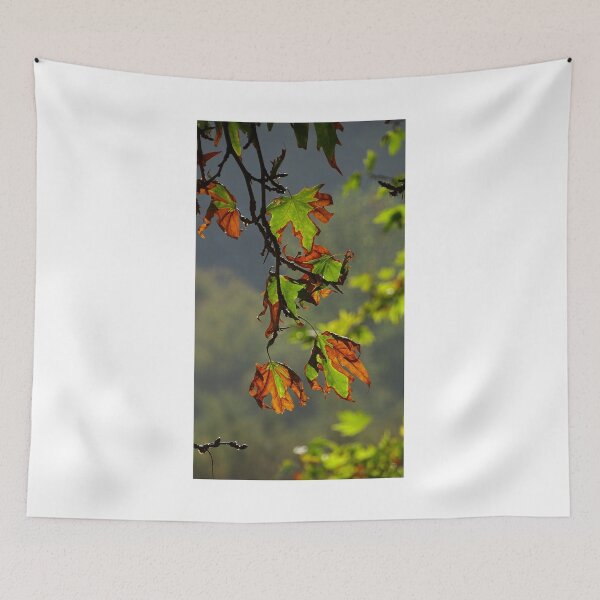 Item preview, Autumn Leaves in Sunlight – Warm Nature Close Up designed and sold by onubi.
