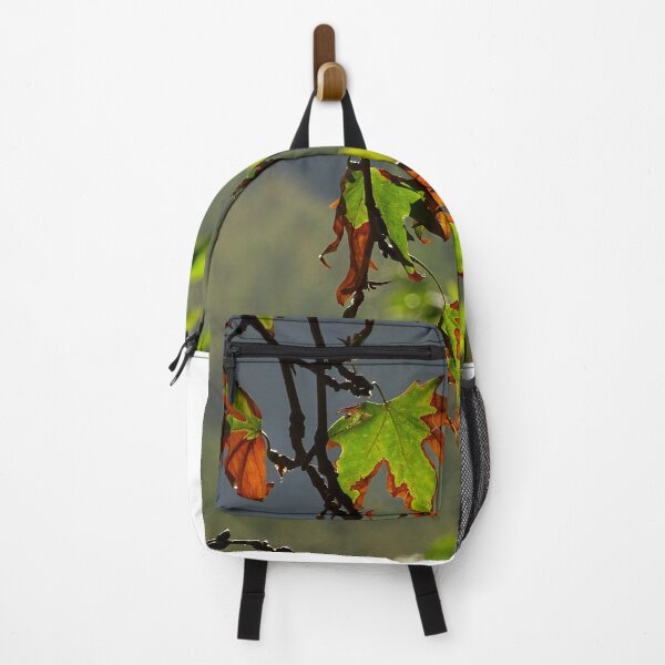 Item preview, Autumn Leaves in Sunlight – Warm Nature Close Up designed and sold by onubi.