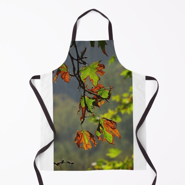 Item preview, Autumn Leaves in Sunlight – Warm Nature Close Up designed and sold by onubi.