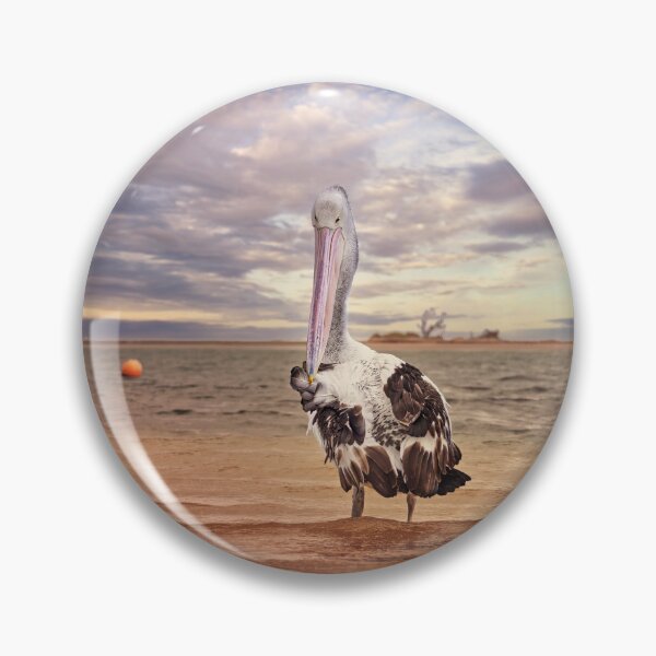 Item preview, Pelican At Point Kalbarri 2 designed and sold by Alex Preiss.