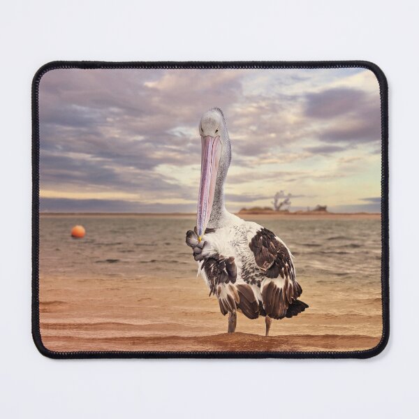Item preview, Pelican At Point Kalbarri 2 designed and sold by Alex Preiss.