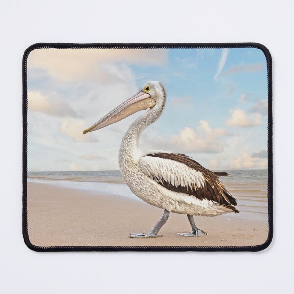 Item preview, Pelican at Point Kalbarri designed and sold by Alex Preiss.