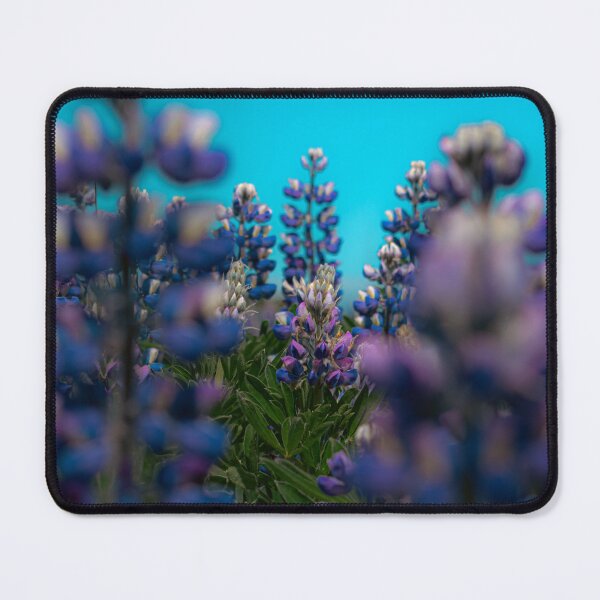 Item preview, Lupine Field Blooming Under Teal Sky False Pass Alaska Photography designed and sold by Elwynn WildLight Photography.