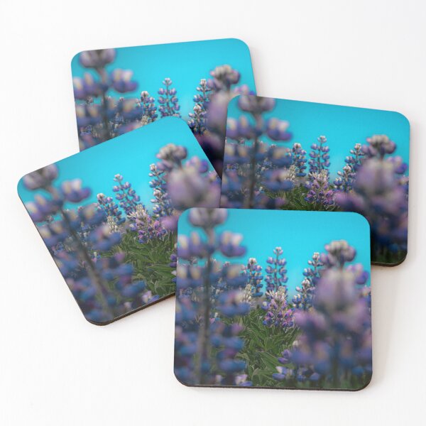 Item preview, Lupine Field Blooming Under Teal Sky False Pass Alaska Photography designed and sold by Elwynn WildLight Photography.