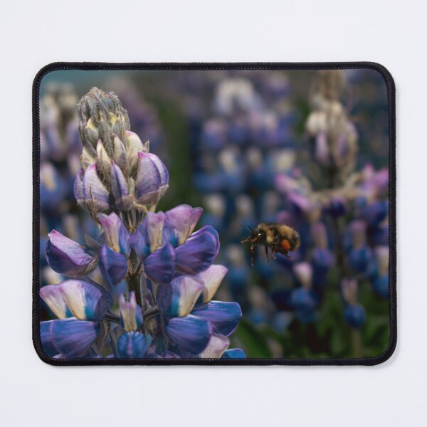 Item preview, Bumblebee Approaching Purple Lupine False Pass Alaska Photography designed and sold by Elwynn WildLight Photography.