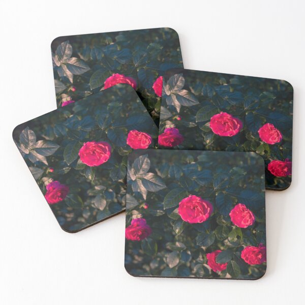 Item preview, Vibrant Magenta Roses in Bloom designed and sold by Georgia Mizuleva.