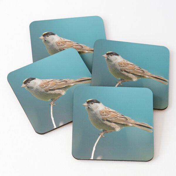 Item preview, Golden-crowned Sparrow Perched on Branch Alaska Bird Photography designed and sold by Elwynn WildLight Photography.
