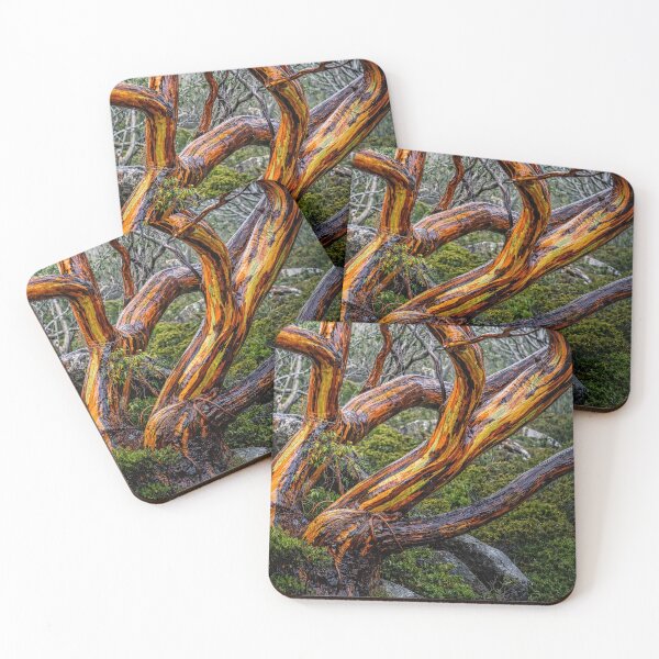 Item preview, Wet gum tree #2 designed and sold by andreisky.