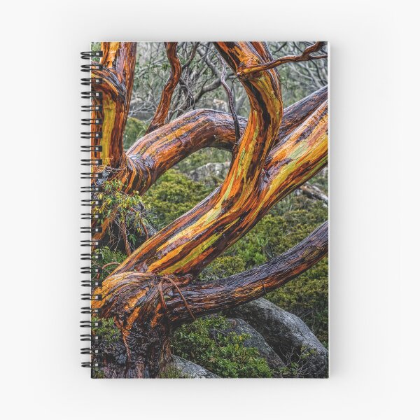 Item preview, Wet gum tree #2 designed and sold by andreisky.