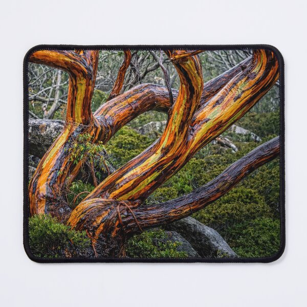 Item preview, Wet gum tree #2 designed and sold by andreisky.