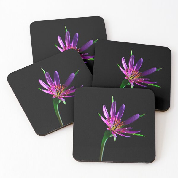Item preview, Purple Flower on Black – Minimal Aesthetic Floral Art designed and sold by onubi.