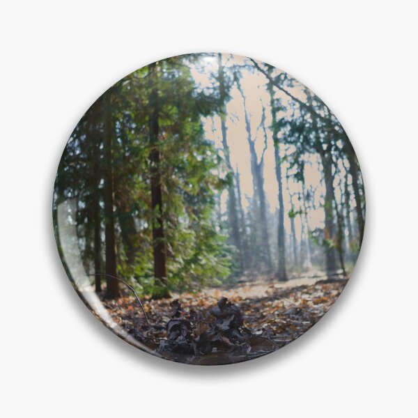 Artikelvorschau, Waldlandschaft entworfen und verkauft von Danekrphotography.