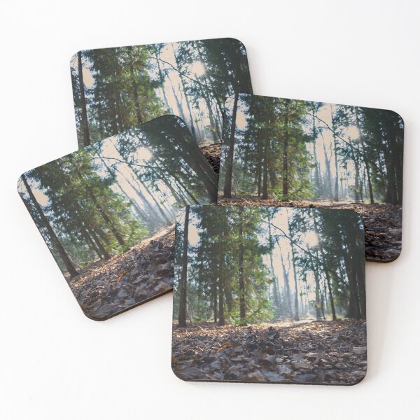 Item preview, Forest landscape designed and sold by Danekrphotography.