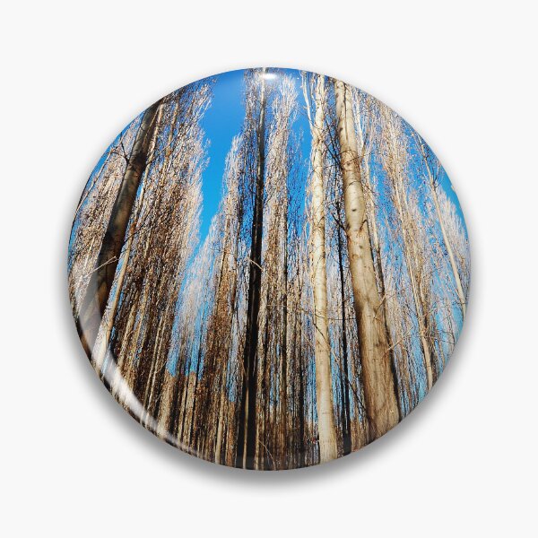 Item preview, Tall Trees Looking Up – Minimal Forest Sky Wall Art designed and sold by onubi.
