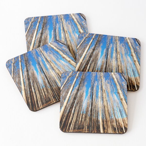 Item preview, Tall Trees Looking Up – Minimal Forest Sky Wall Art designed and sold by onubi.