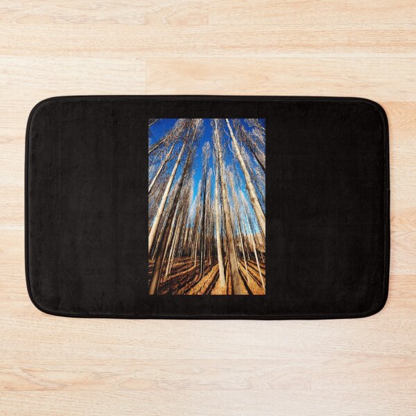 Item preview, Tall Trees Looking Up – Minimal Forest Sky Wall Art designed and sold by onubi.