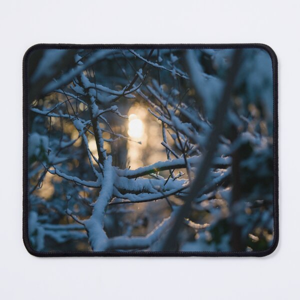 Item preview, Sunlight through snow blanketed trees designed and sold by Danekrphotography.