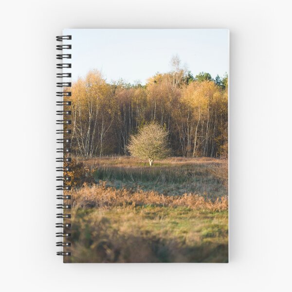 Item preview, Tree centered in the middle of a forest clearing designed and sold by Danekrphotography.