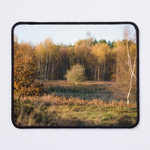 Item preview, Tree centered in the middle of a forest clearing designed and sold by Danekrphotography.