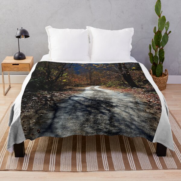Artikelvorschau, Wandbild „Stimmungsvoller Herbstweg“ – Filmreifer Waldpfad-Druck entworfen und verkauft von onubi.