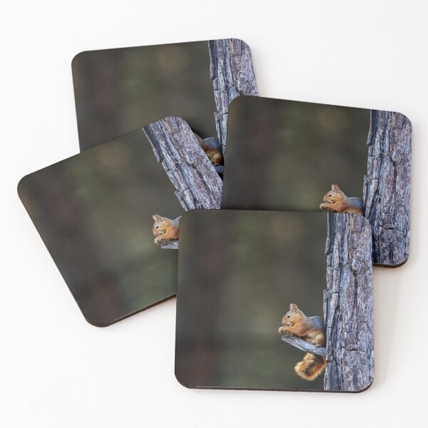 Item preview, Cute Squirrel Wall Art – Minimal Wildlife Nature Print designed and sold by onubi.