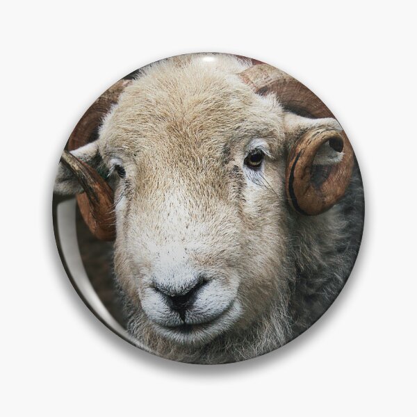 Item preview, A Herdwick Ram designed and sold by Murph's Images.